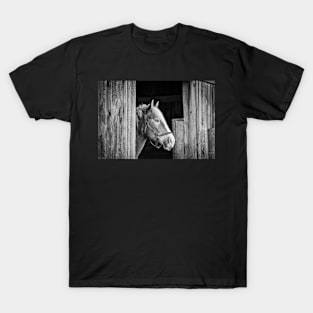 "Beauty in the Barn" - Black & White T-Shirt